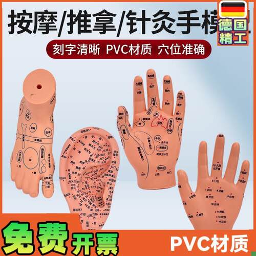 脚穴位模型足部底耳模耳朵手经络手部F推拿针灸足底脚模反射眼睛