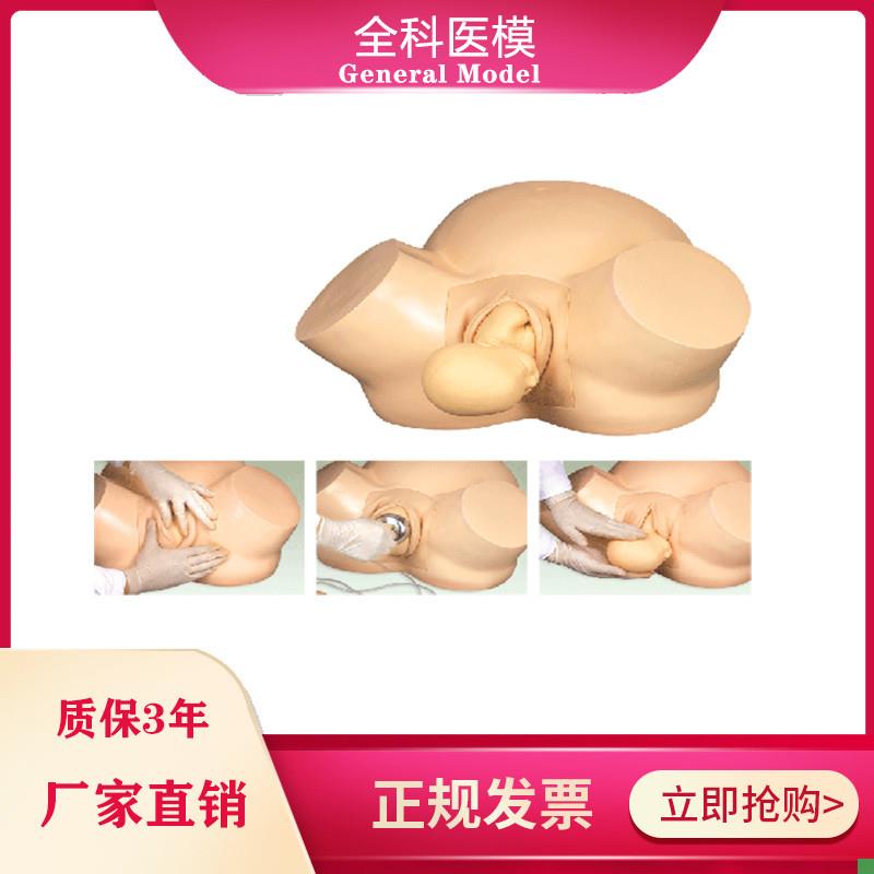 助产训练模型医o学妇产科培训难产分娩示教模具
