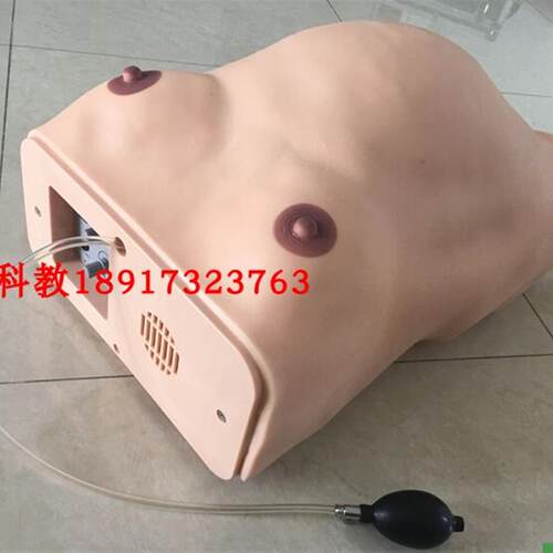 高级电脑孕妇检查模型电子孕妇腹部触诊及胎.心监护模型