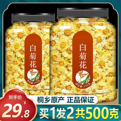 桐乡特级正宗去火清热解毒胎菊王