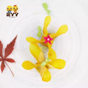 山楂鹅肝芒果超薄山楂皮片薯丫丫芒果皮蓝莓猕猴桃酒店食材