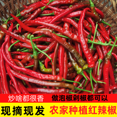 江西红辣椒新鲜新鲜薄皮红辣椒现摘现发当季自然红辣椒剁椒泡椒