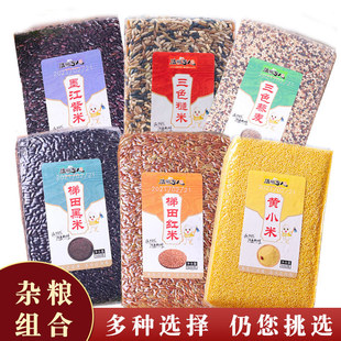 云南高原梯田红米五谷杂粮粥三色黎麦七日粗粮礼盒500g黑黄小米
