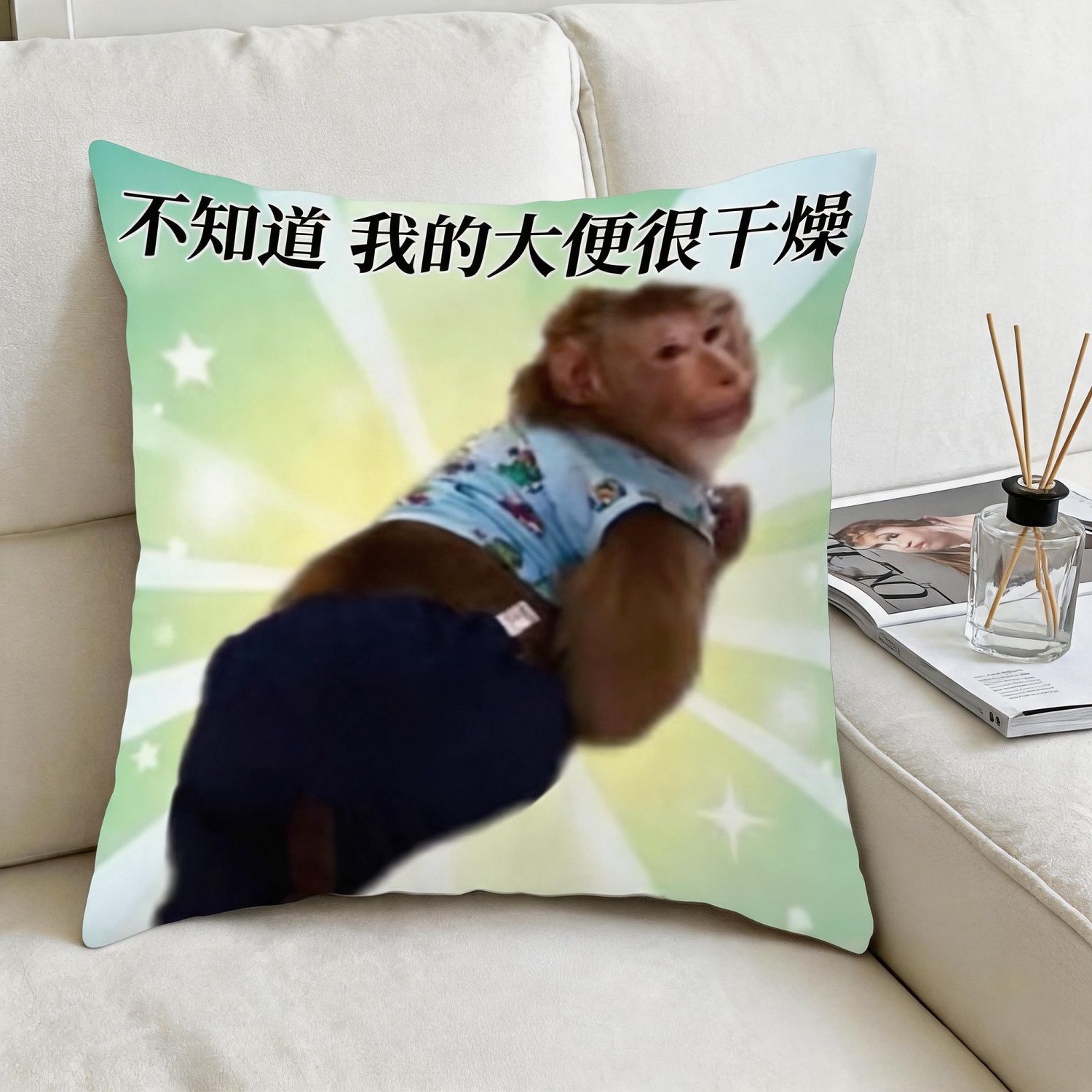 可爱猴子图案抱枕显眼吸睛网红治愈靠垫创意搞怪枕套表情包靠枕