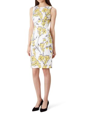 HOBBS圆领修身真丝羊毛和象牙白花卉印花连衣裙