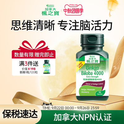 加拿大进口银杏叶提取物补脑学生