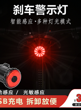 骓特自行车后尾灯USB充电尾灯警示灯