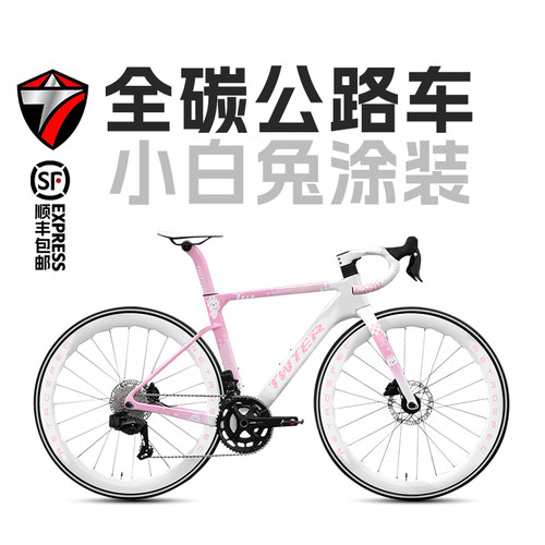 定制款涂装 24速油压碟刹 电变