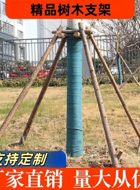 树木支撑固定器大树支撑架塑料套杯卡扣绿色化支撑杆防风固定支架