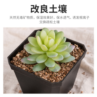 蛭石颗粒扦插月季珍珠岩养花用乌龟蛋孵化专用白蛭石营养土多肉大