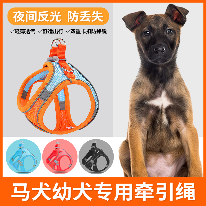 马犬幼犬专用牵引绳遛狗绳超小体犬小型犬小狗胸背狗绳狗狗用品