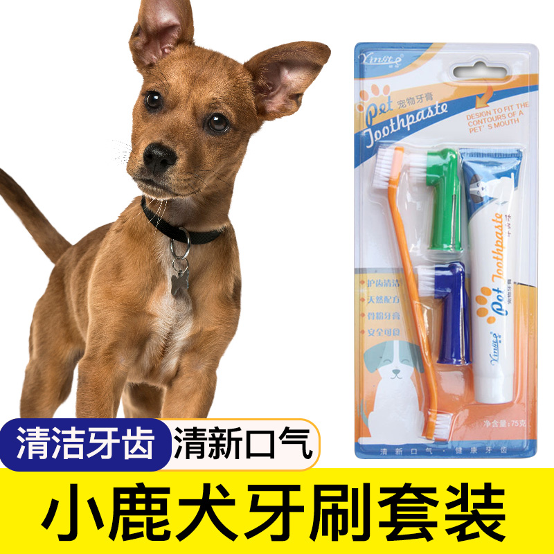 小鹿犬专用狗狗牙刷宠物牙膏套装刷牙清洁用品口腔牙用具指套