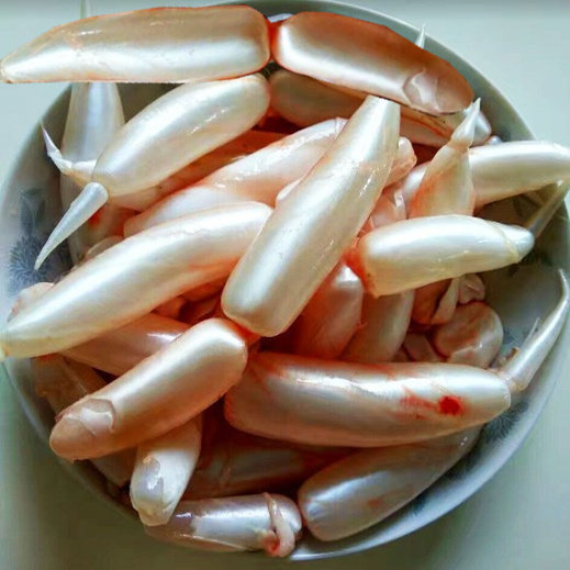 新鲜鱼泡小鱼泡鲫鱼泡新鲜鱼肚鱼胶鱼鳔白鱼泡500g1份买2份包邮