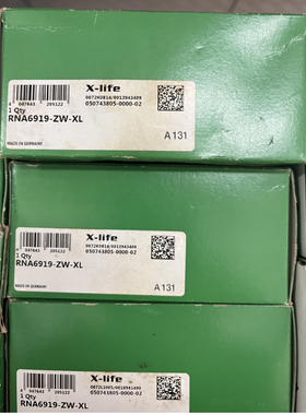 德国进口INA轴承RNA6919-ZW-XL