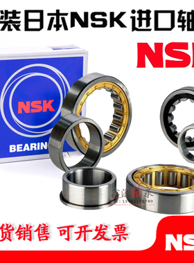 进口NSK轴承 N202 N203 N204 N205 N206 N207 N208 N209 EW EM C3