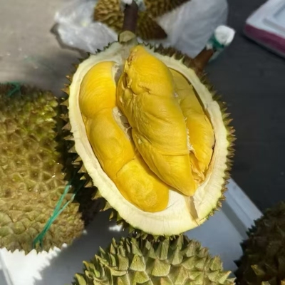 顺丰包邮马来西亚猫山王AA鲜果