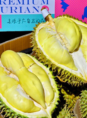 顺丰空运树熟金枕榴莲