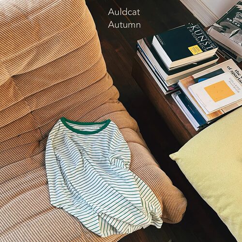 AULDCAT天丝羊毛条纹长袖T恤