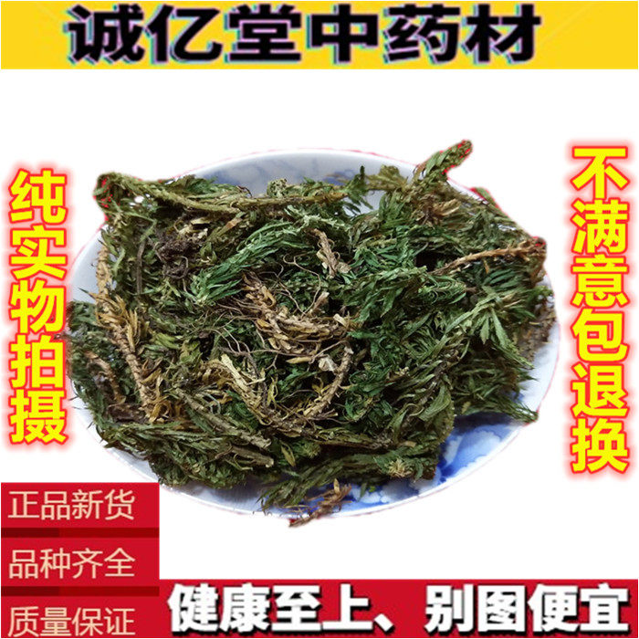 千层塔中药材 新货500克包邮 小叶千层塔 虱子草 毛青杠 千层塔草
