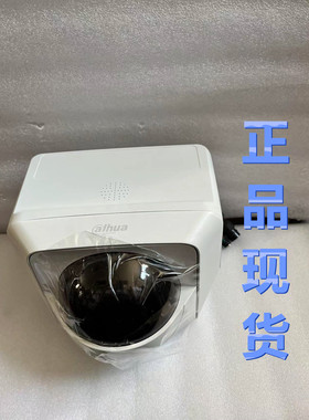 DH-SDT-4A2404-WAJY-DP 大华400万12V变焦高清网络球型摄像机