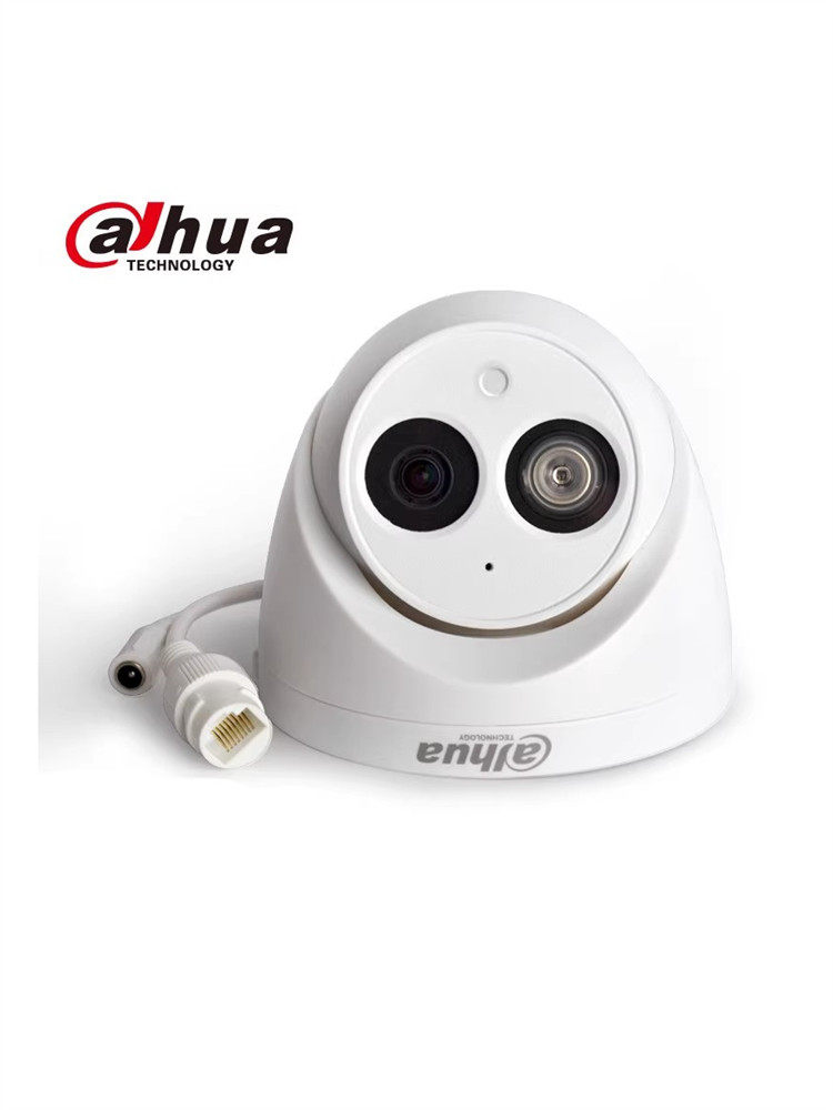 快递驿站1080P大华监控网络摄像头POE供电不带音频1230专用