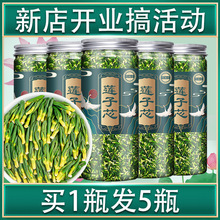 新鲜莲子心茶正品新货莲子芯500g中药材泡水的功效作用同仁堂北京