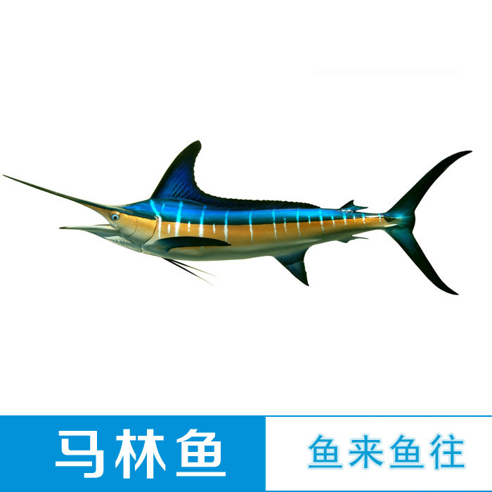 真鱼模型鱼钓路亚立体半边大小尺寸订做stripedmarlin条纹马林鱼
