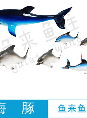 模型仿真鱼鱼来鱼往仿真塑料海豚
