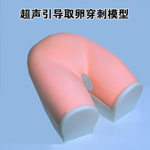 超声引导取卵穿刺模型生殖医学取卵教学模拟超声卵泡穿刺医学示教