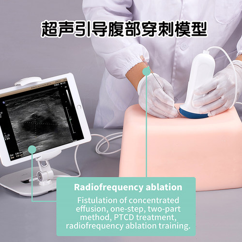 仿真高腹部超声穿刺模型EMENT