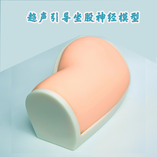 超声引导坐股神经模型神经麻醉穿刺训练超声探查高仿真超声影像