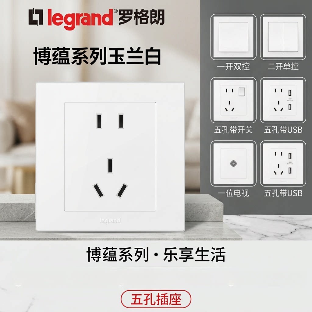罗格朗博蕴玉兰白USB多控插座图片