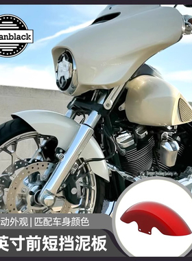 Advanblack适用于哈雷大道公路滑翔19英寸前泥瓦喷漆定制色挡泥板