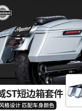 Advanblack适用于哈雷软尾路威ST街霸DS风边箱套件定制颜色行李箱