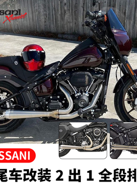 Bassani巴萨尼适用于路怒哈雷路威ST改装二出一全段排气街霸肥霸