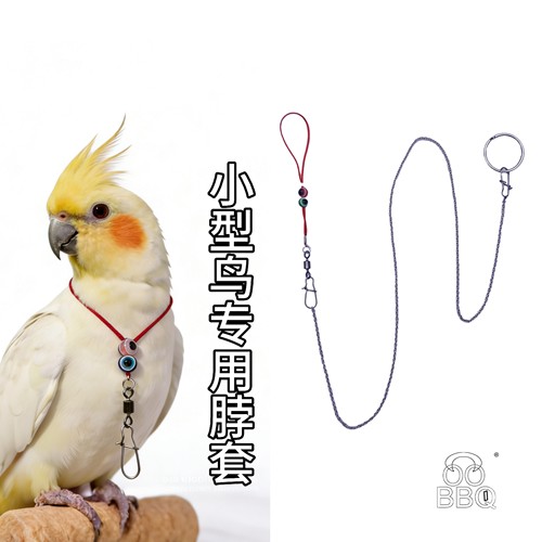 鹦鹉脖套放飞溜鸟绳鸟链子虎皮黄鹂麻雀伯劳蜡嘴栓鸟脖绳脖子套