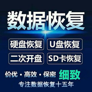 远程电脑手机移动硬盘数据恢复服务U盘内存sd卡照片视频文件软件