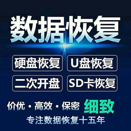 远程电脑手机移动硬盘数据恢复服务U盘内存sd卡照片视频文件软件