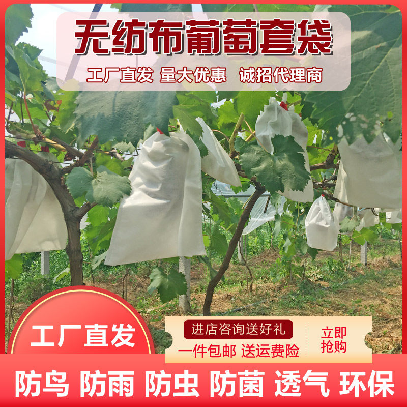 无纺布葡萄套袋防虫防雨水防鸟桃梨子柚火龙果羊角蜜育果实保护袋