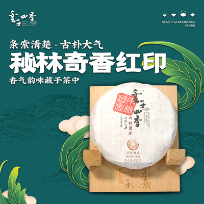 普洱茶云子四季普洱茶