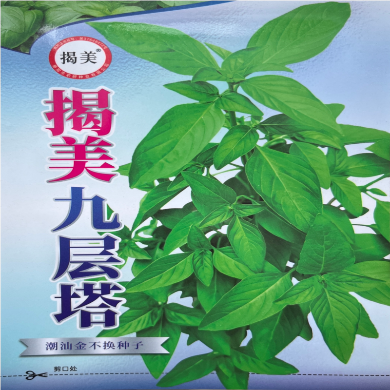 揭美九层塔种子 潮汕金不换可食用香草菜 阳台盆栽蔬菜种子500粒