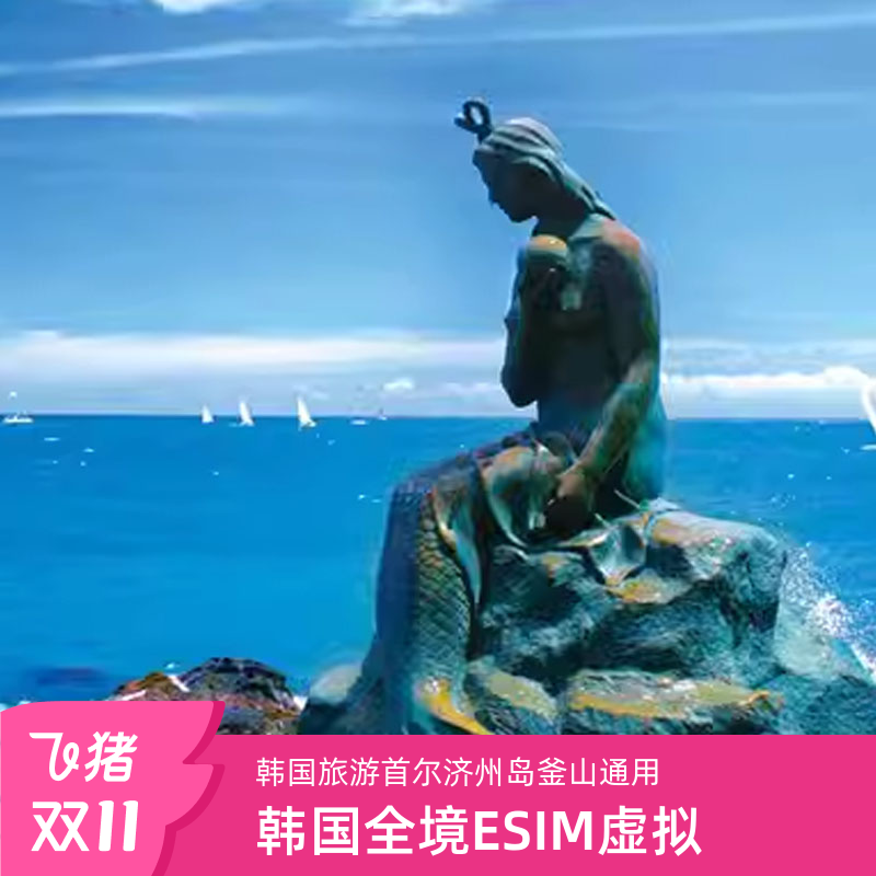 韩国电话卡eSIM