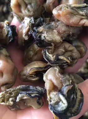 湛江特产 海鲜干货生蚝野生新鲜活海蛎牡蛎肉淡晒无沙500g包邮