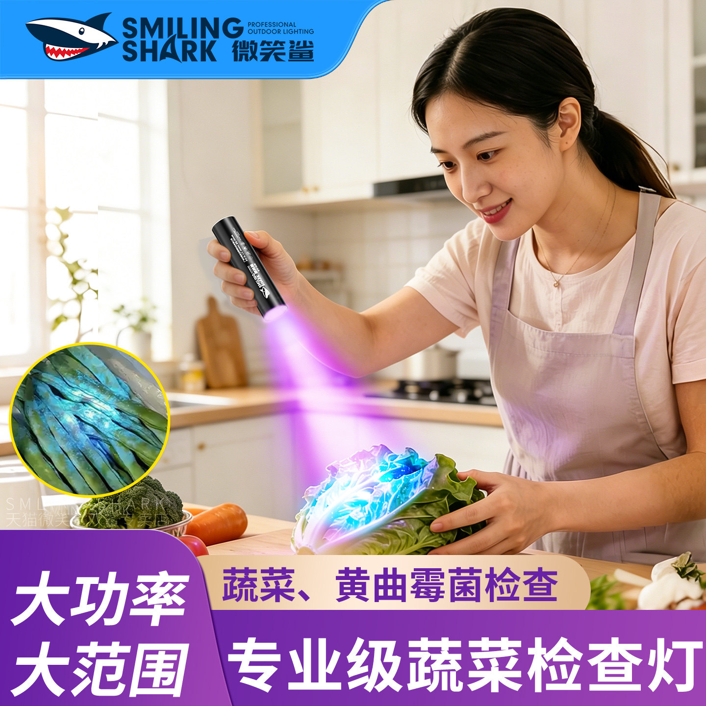 蔬菜水果农药残留检测灯紫外线黄曲霉素荧光剂鉴定专用手电紫光灯