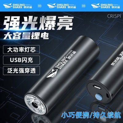 迷你强光手电筒超亮变焦远射