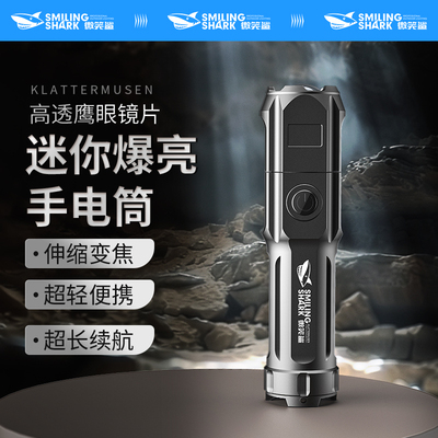 户外强光超亮充电便携小变焦手电