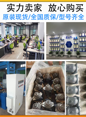 新款柱塞泵液压马达A2F/O/M/A4VSO/A4VG/A6VM/A7VO/8/10现货