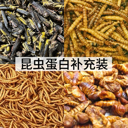 【DKJESSI】仓鼠昆虫蛋白补充装零食营养增肥冻干花枝鼠面包虫