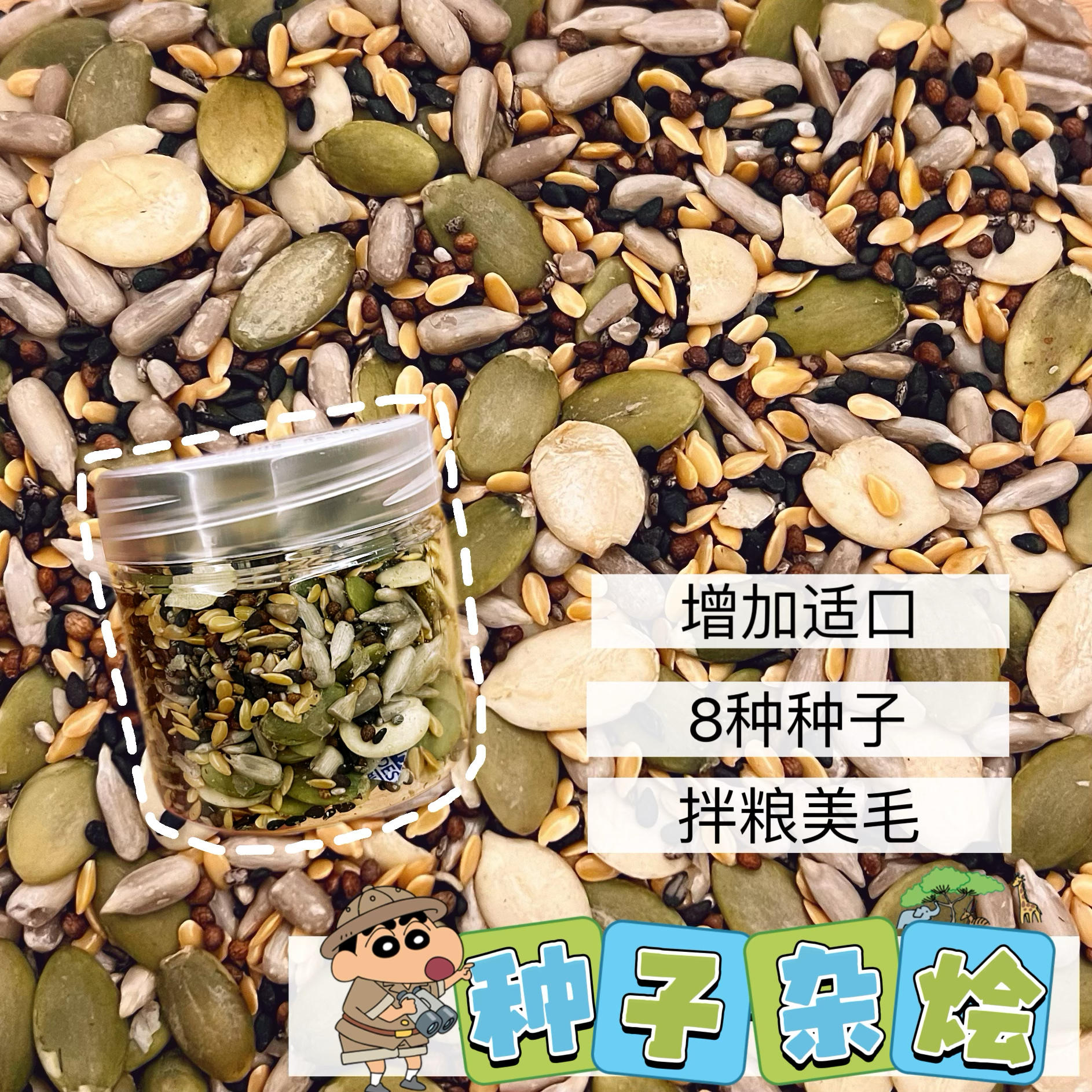 【DKJESSI】金丝熊零食种子大杂烩健康无添加花枝鼠小仓鼠瓜子仁
