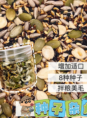 【DKJESSI】金丝熊零食种子大杂烩健康无添加花枝鼠小仓鼠瓜子仁